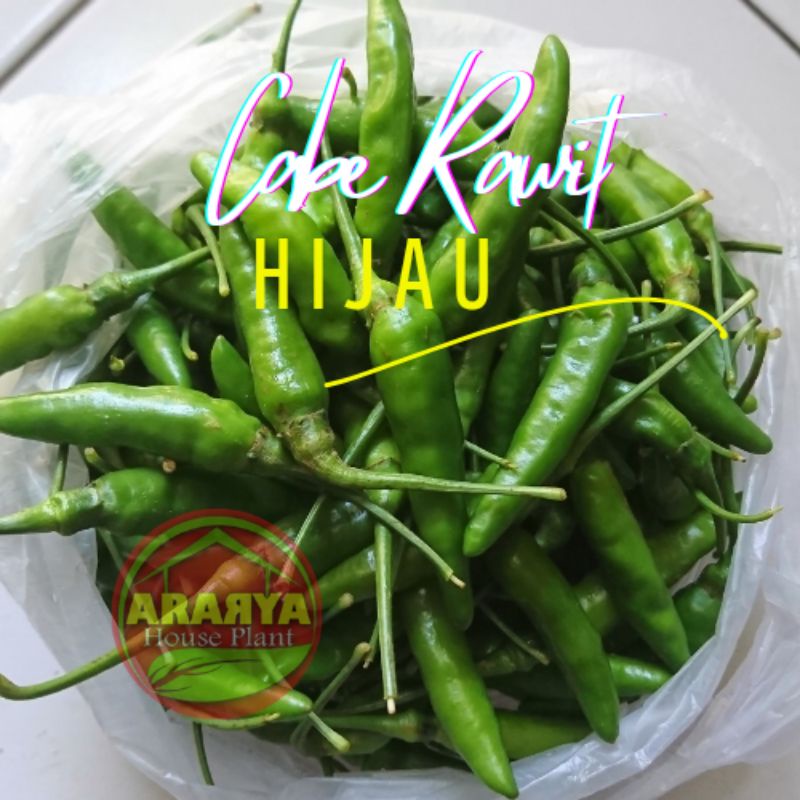 

Cabe Rawit Hijau Segar 500 gram Fresh Lombok Ijo Kecil Segar