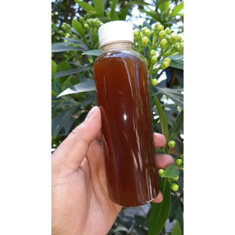 

Madu Lanceng Asli / Madu Klanceng Asli 250ml