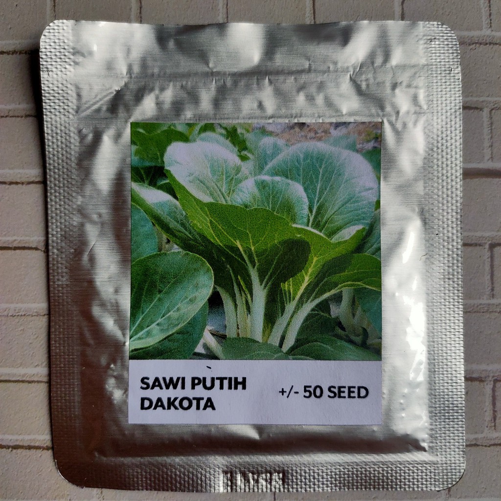 Benih Biji Sawi Putih Caisim Dakota (Panah Merah) REPACK