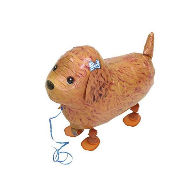 

14.84Ftgrdujh- Walking Pet Balloon - Brown Dog -Toko-Boneka.