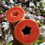 

buah pepaya California 1 buah