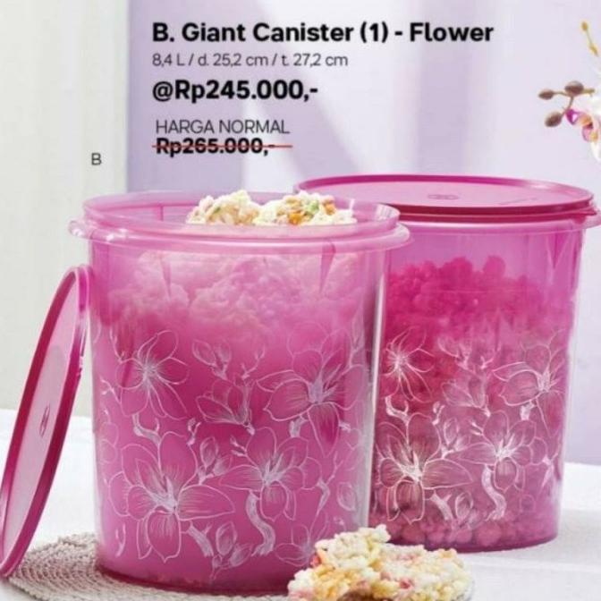 giant canister flower tupperware --Termurah--
