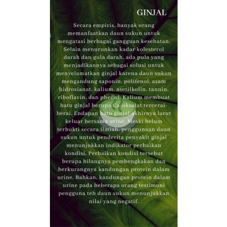 Teh Herbal Teh Daun Sukun Kualitas Premium Laasyaka Herbal Penghancur Batu Ginjal