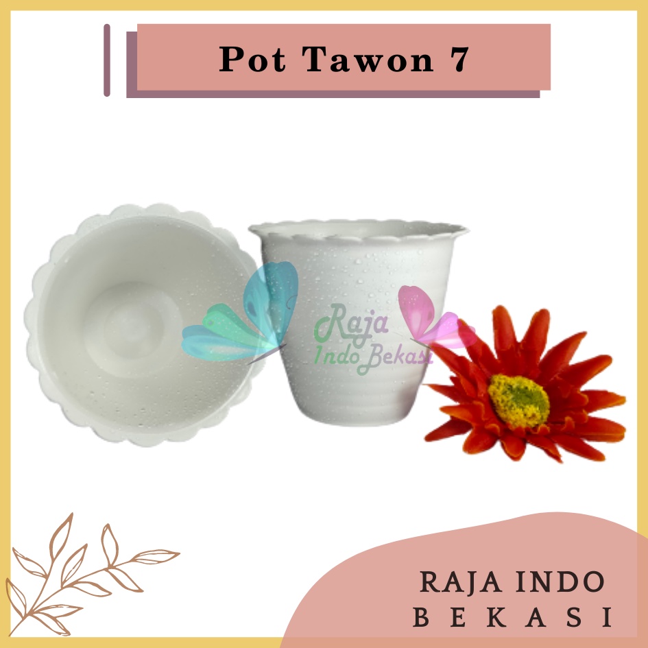 Pot Tawon 7 Putih 7.5 Cm By Garden Of Love Pot Bunga Plastik Mini Lucu Vas Bunga Kaktus Kecil