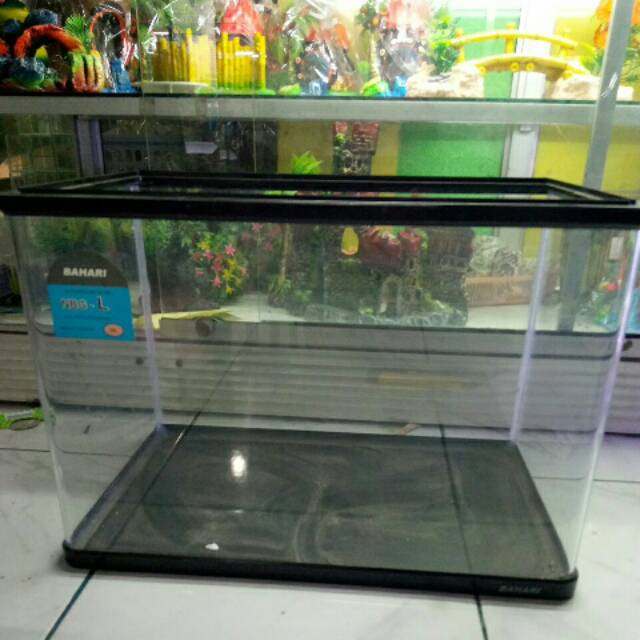 AQUARIUM BAHARI NGB L LENGKUNG