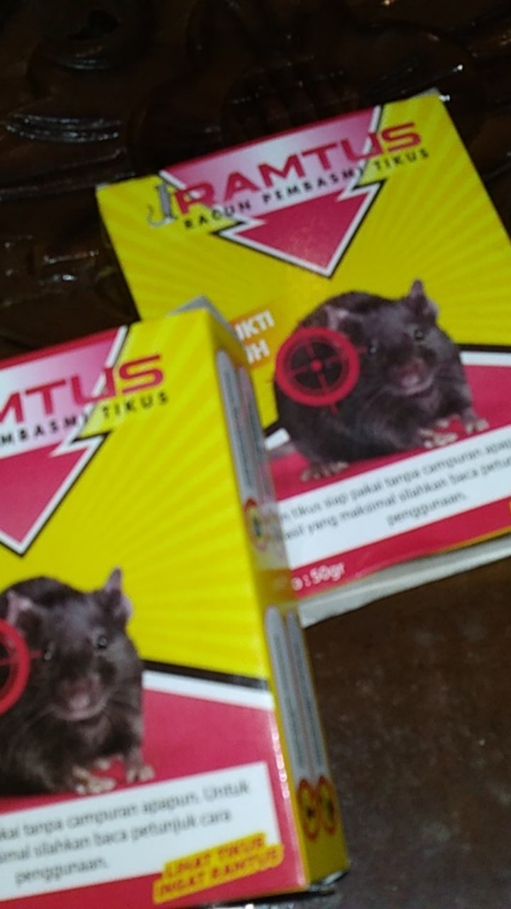 Racun Tikus Ramtus Asli Alami Mati Kering Tidak Bau Pembasmi Pengusir Tikus Super Paling Ampuh 2pack
