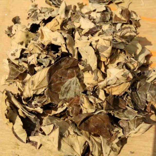 

DAUN HERBAL BIDARA KERING