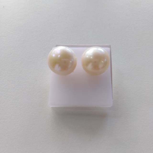 Giwang, anting mutiara lombok asli dari lombok