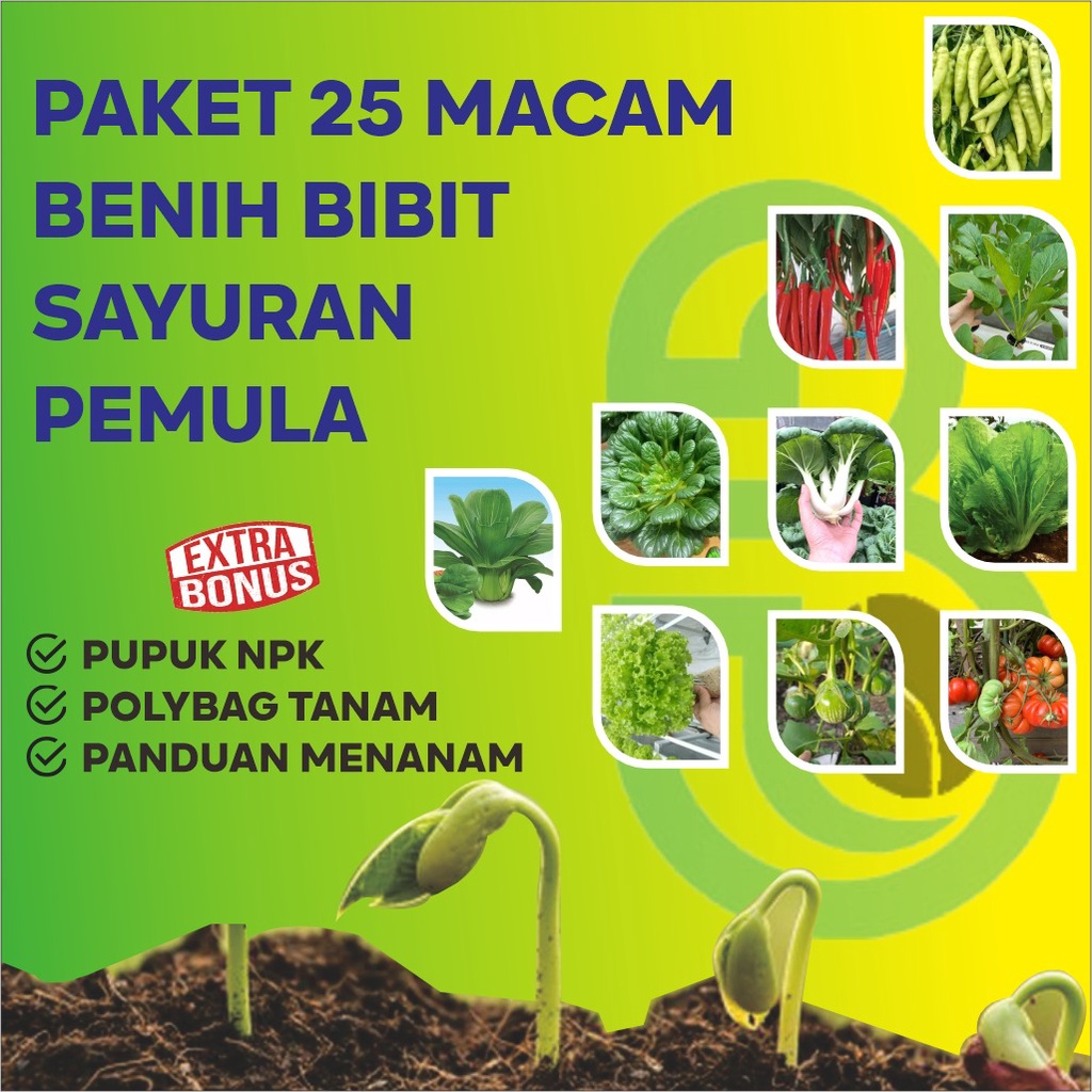 Benih Bibit Paket Lengkap 25 Macam Jenis   Sayuran Pemula Rumahan Berkualitas Cabe Selada Kangkung B