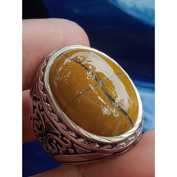 Batu cincin tapak jalak badar asem