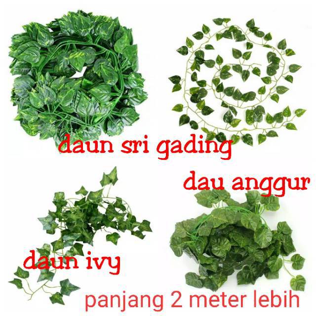 DAUN RAMBAT  sri  GADING  SIRIH Daun Rambat  Palsu Daun anggur 