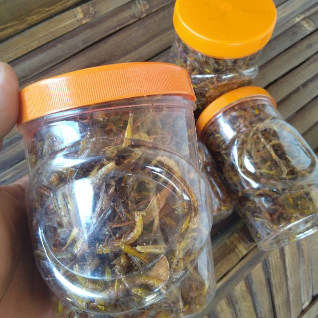 

Belalang kecil toples warna