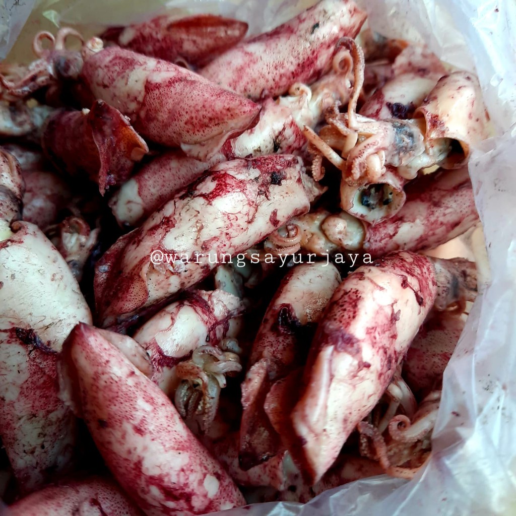 

Cumi Asin Murah 250 gram