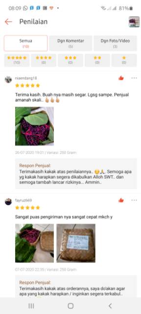 Parijoto Promil Original Besar Pertangkai FREE TESTPACK asli Parijoto Muria