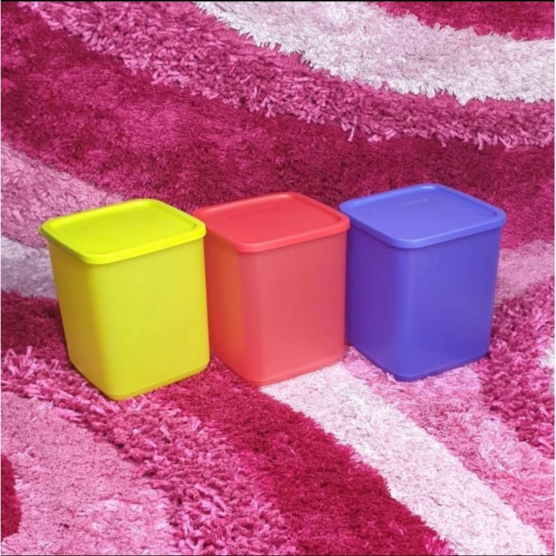 tupperware large tropical fiesta set - wadah wafer - wadah biskuit