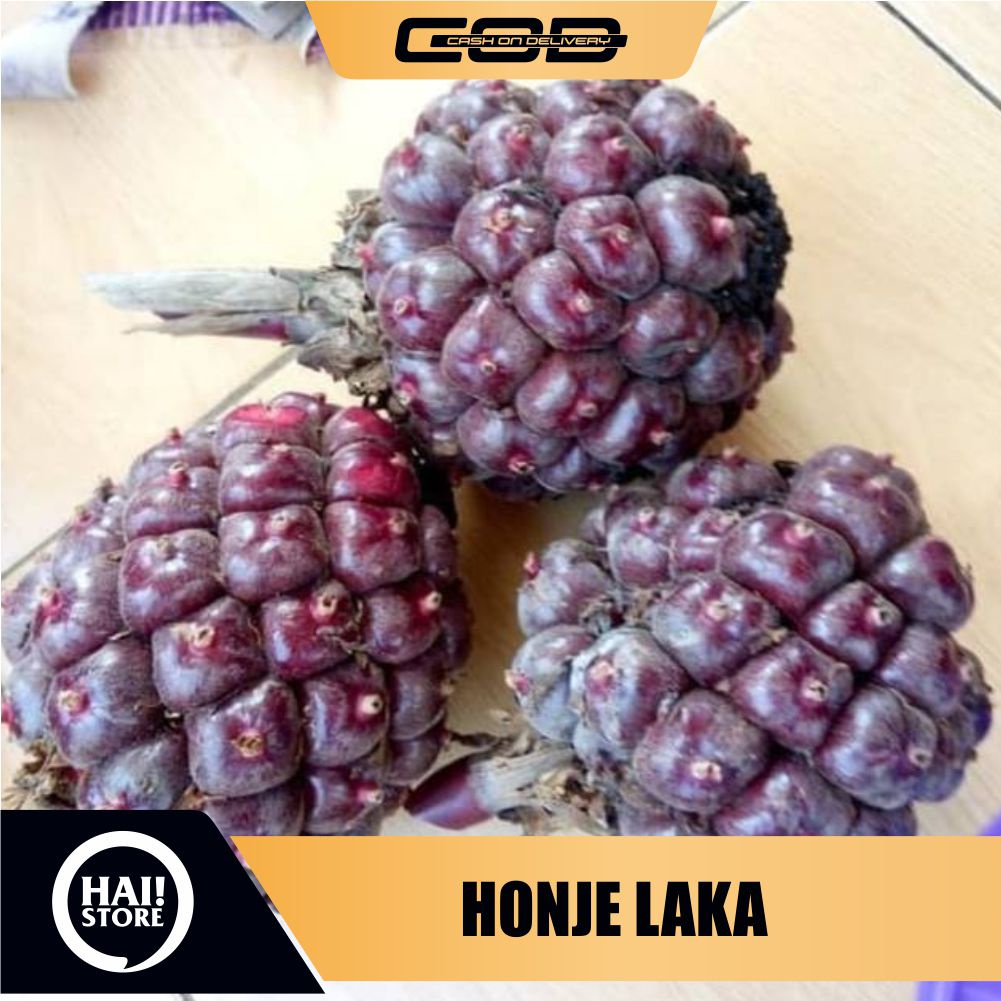 

Jual Buah Honje Segar Organik HAI STORE