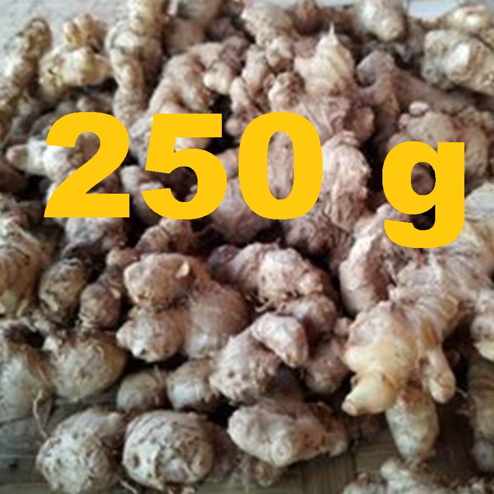 

250 gram Jahe Emprit Segar