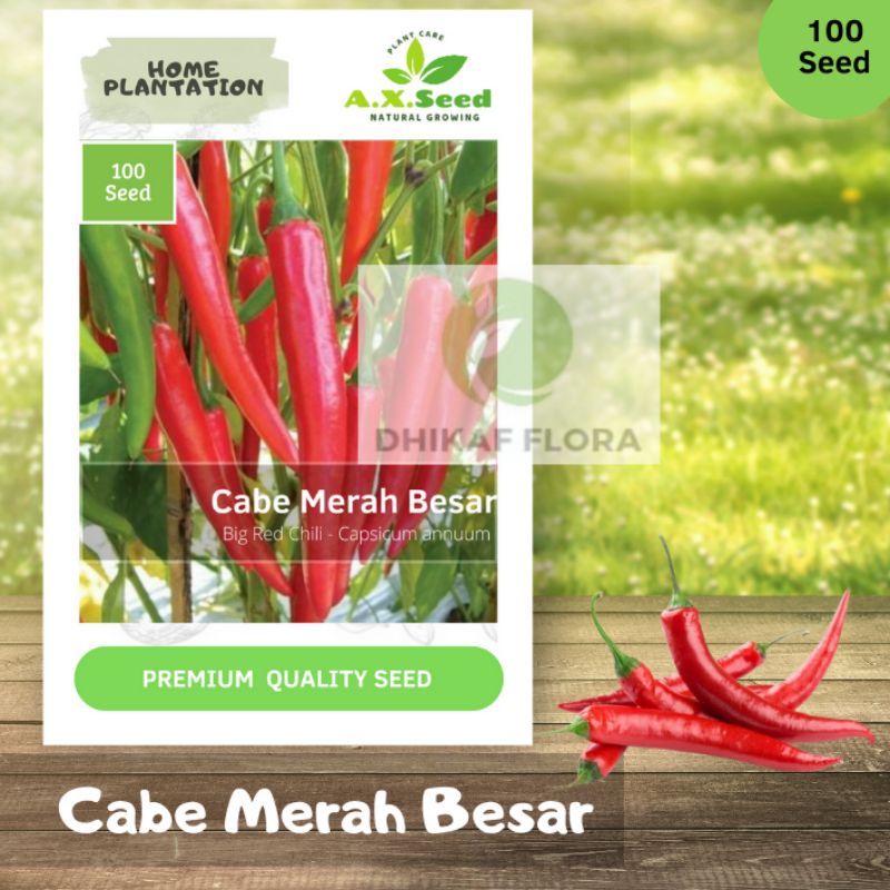 Benih Bibit Cabe Merah Besar (AX Seed)