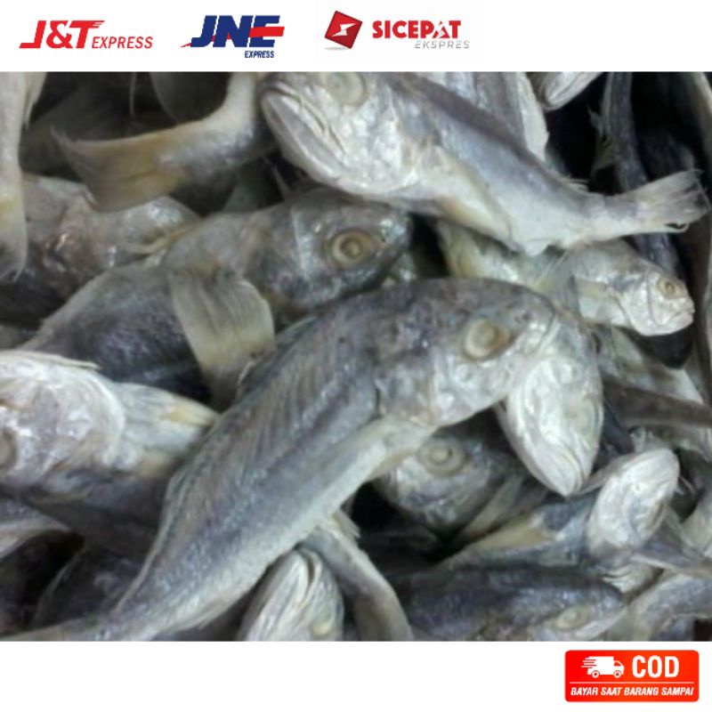 

Ikan asin gulamo ikan asin gulama 500 gram