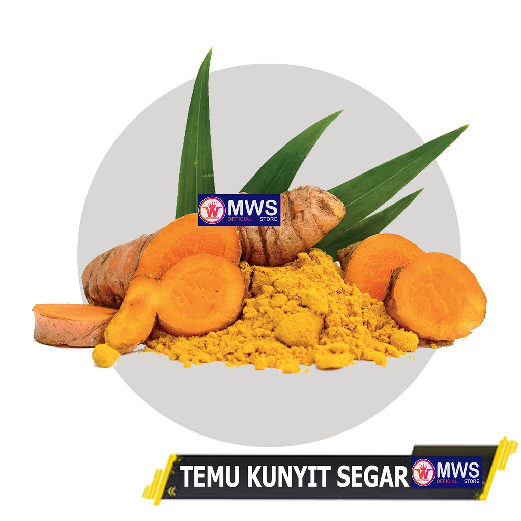 KUNYIT SEGAR 1 KG HERBAL ALAMI MWS OFFICIAL STORE