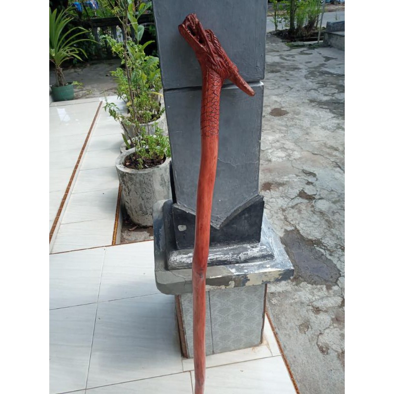 tongkat ukir kayu stigi asli