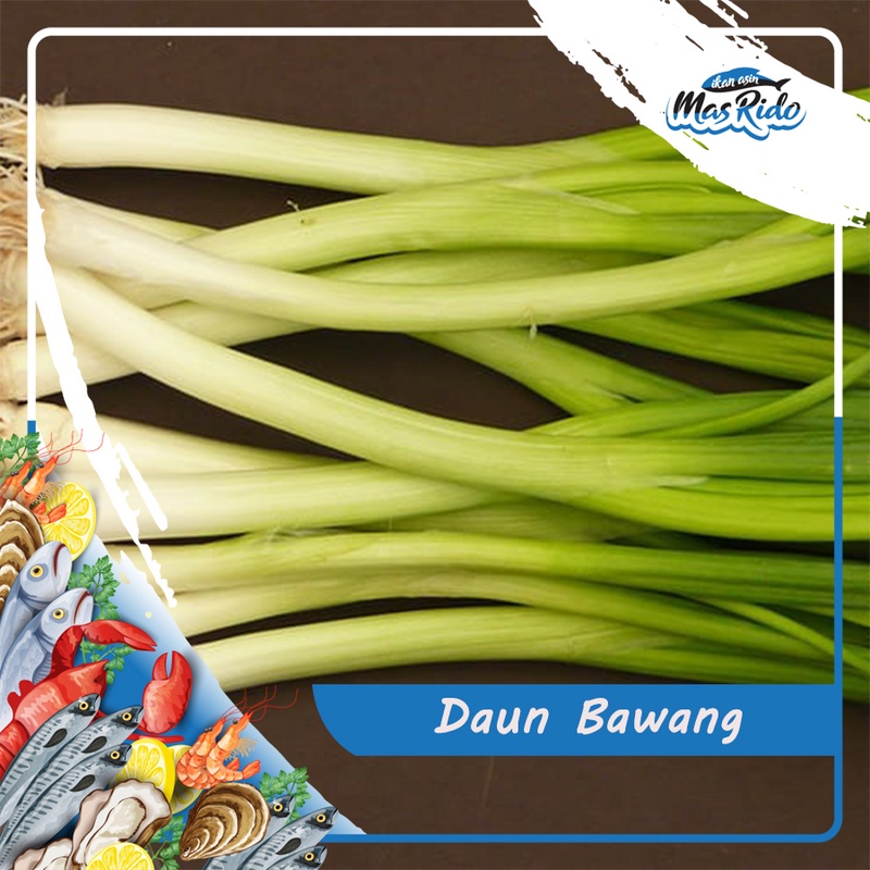 

DAUN BAWANG SEGAR BERSIH 1 IKAT KWALITAS SUPER HARGA MURAH