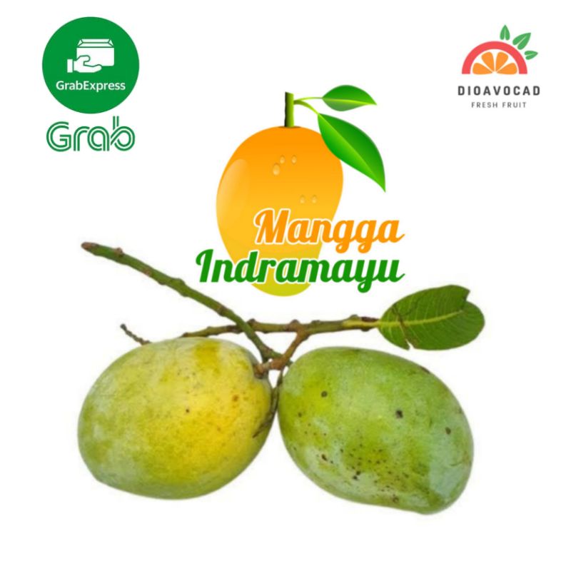 

Buah mangga indramayu 1 kg | mangga indramayu