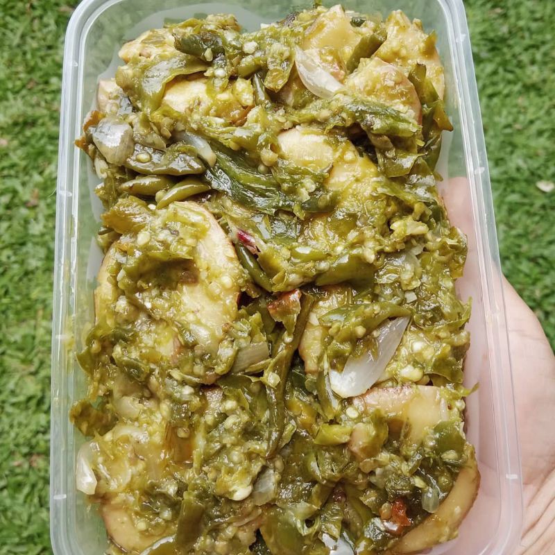 

JENGKOL CABE IJO