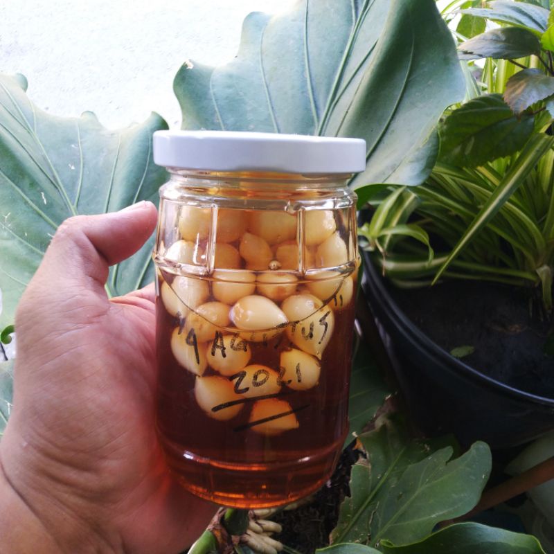 

Madu Randu Hutan Plus Bawang Putih Lanang Asli Lokal Untuk Kesehatan n Anti Body
