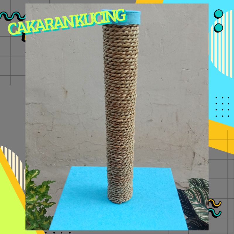 garukan kucing / cakaran kucing