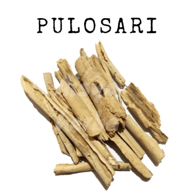 

100 gr pulosari/pulowaras