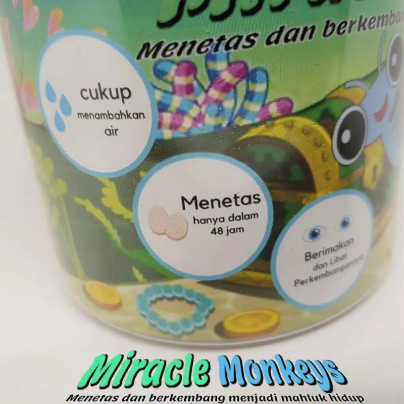 PROMO Miracle Monkey - Peliharaan Hidup Ajaib menetas dalam 1 hari - Sea Monkeys / Monyet Laut Ajaib