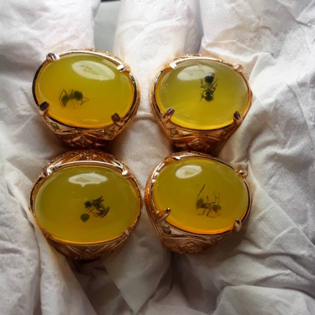 Amber getah katilayu ada semutnya.