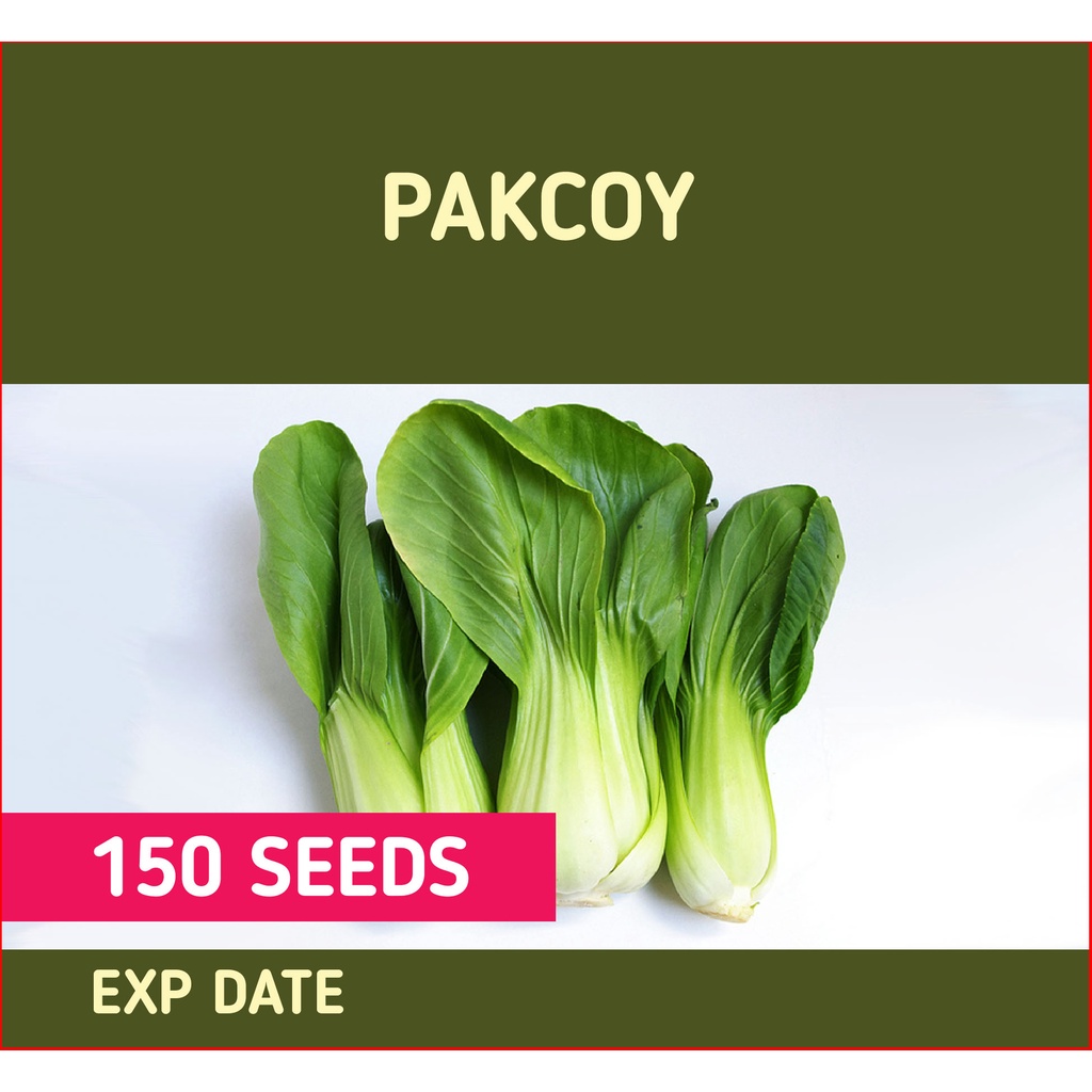 Repack PakChoy Seed