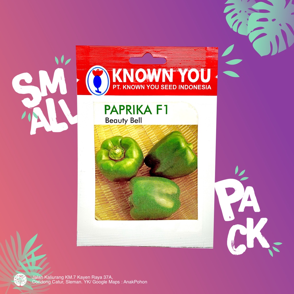 (1 PACK) Benih Paprika Hijau F1 Beauty Bell - Known You Seed KYS - 12 SEEDS