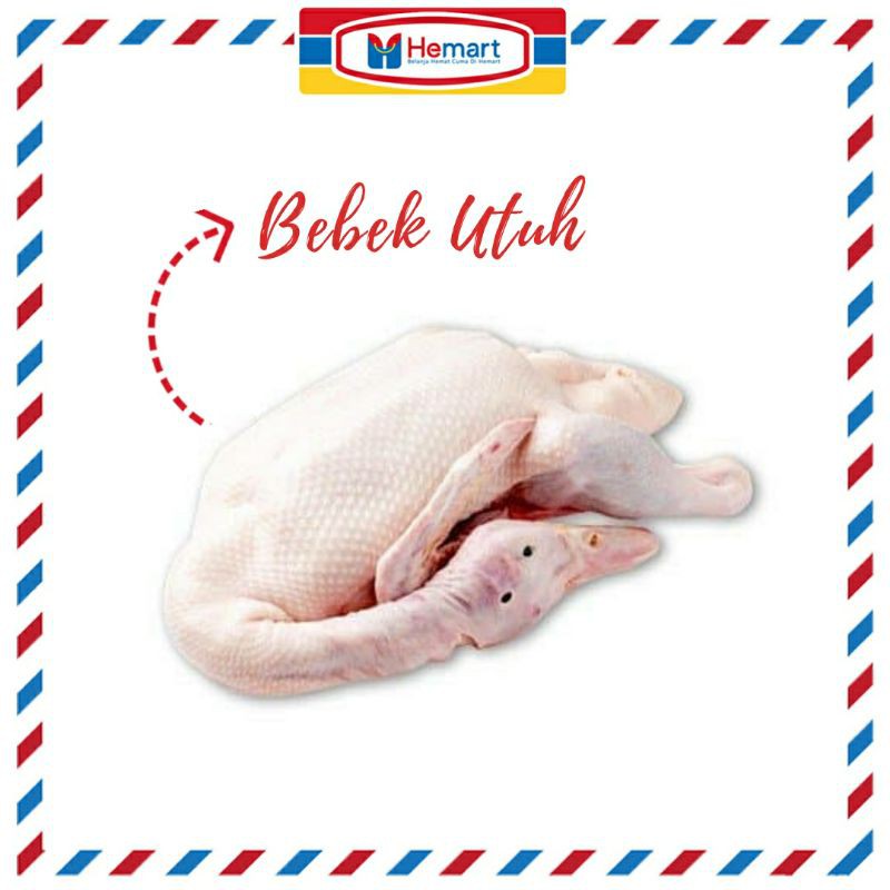 

PALING FRESH!!! BEBEK UTUH 1 EKOR SIZE MEDIUM / UNGGAS