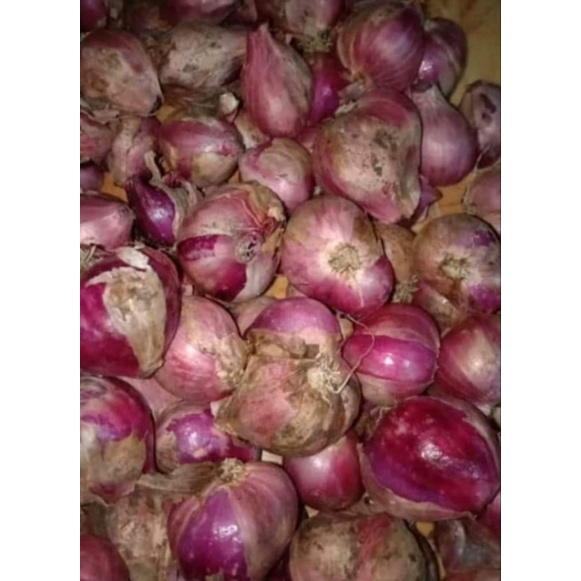 

BAWANG MERAH 500 gram