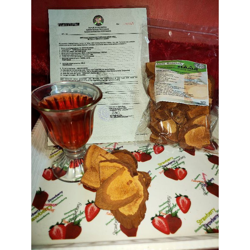 

AKAR BAJAKAH ASLI KALIMANTAN /KANGKER/TUMOR