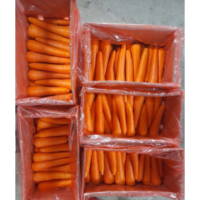 

Wortel Brastagi Fresh