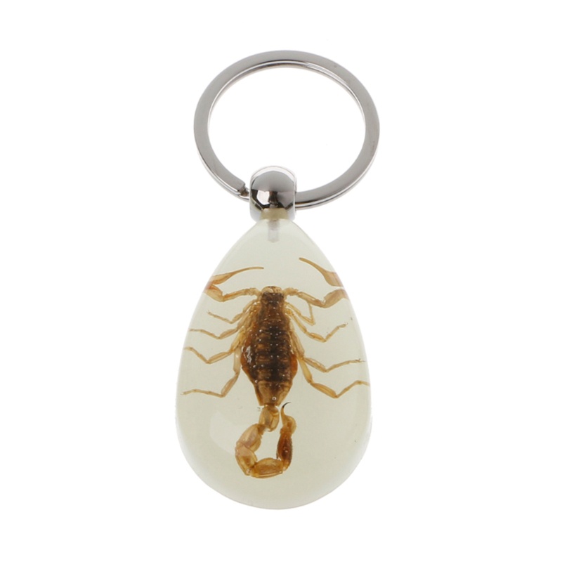 Siy Luminous Amber Insect Keychain Black Scorpion Resin Untuk Gantungan Kunci Glow in the Dark Liontin Dengan Sample Serangga Di Dalam