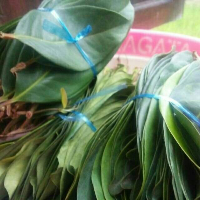 

Daun Insulin, Salam, Jeruk Purut, Sirih, Katuk, Kelor, Bidara, Kucai, Pandan, Sirsat, Jambu