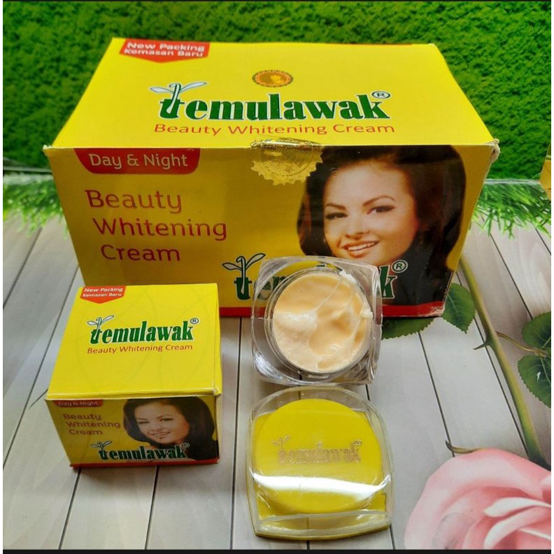 Lusinan Temulawak Beauty | Siang Malam 2 in 1