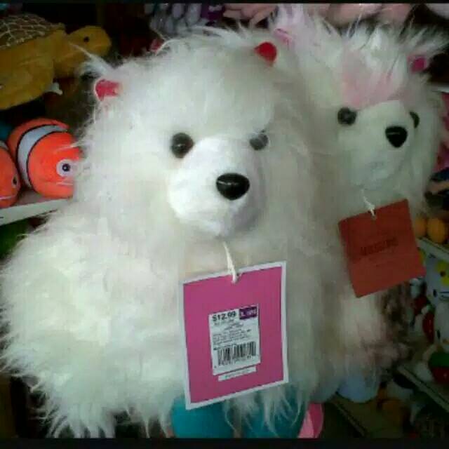 Boneka Kucing Anggora