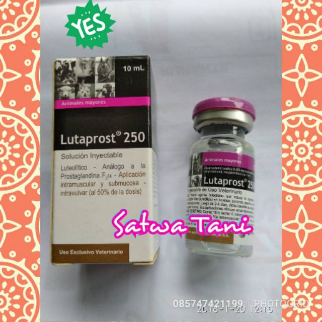 LUTAPROST 250 (hormon PGF2@)