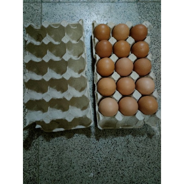 

Telur Ayam Negeri isi 15 butir