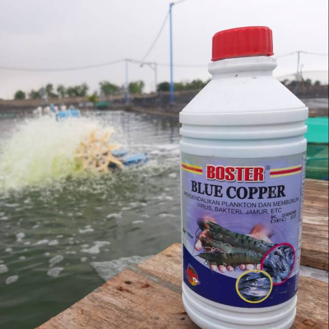 Boster Blue Copper 1 Liter