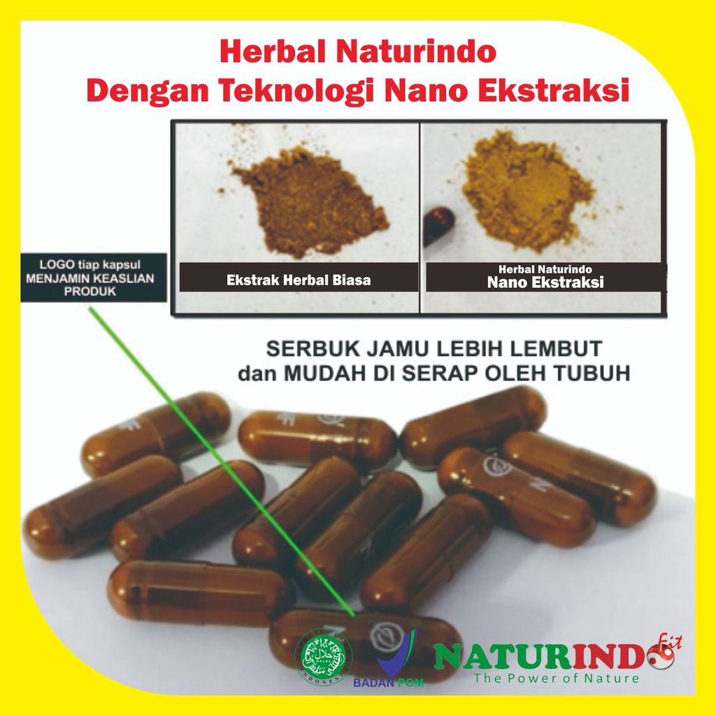 Glucofit Obat Herbal Diabetes Ampuh Obat Diabet Obat Gula Darah Obat Penurun Gula Darah Naturindo-2