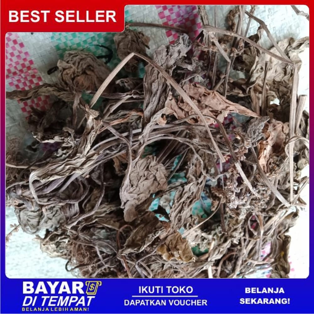 

Ts Murah [500g] DAUN SENDOK Kering Herbal ISPA Peluruh Kencing Darah Bisul