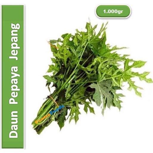 

Daun Pepaya Jepang Fresh - Jabar | 1.000gr [ Harga Per KG ]