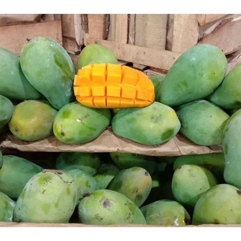 

mangga harumanis murah